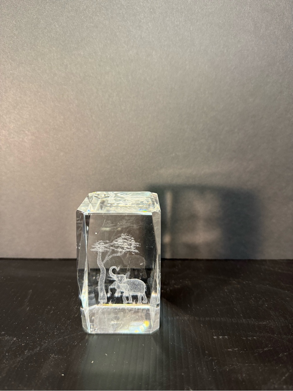 Source Unknown Clear Crystal Block with Etched Elephant and Tree